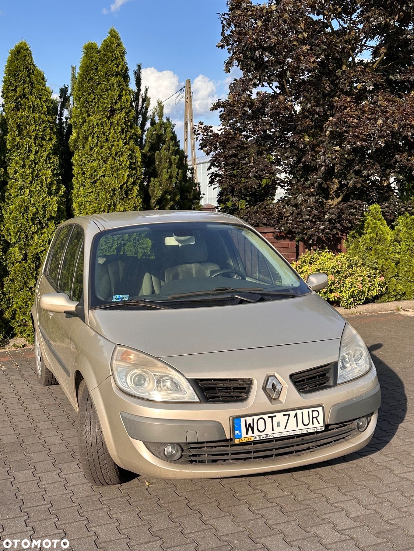 Renault Scenic - 1