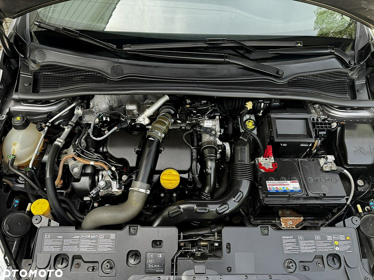 Renault Clio - 16