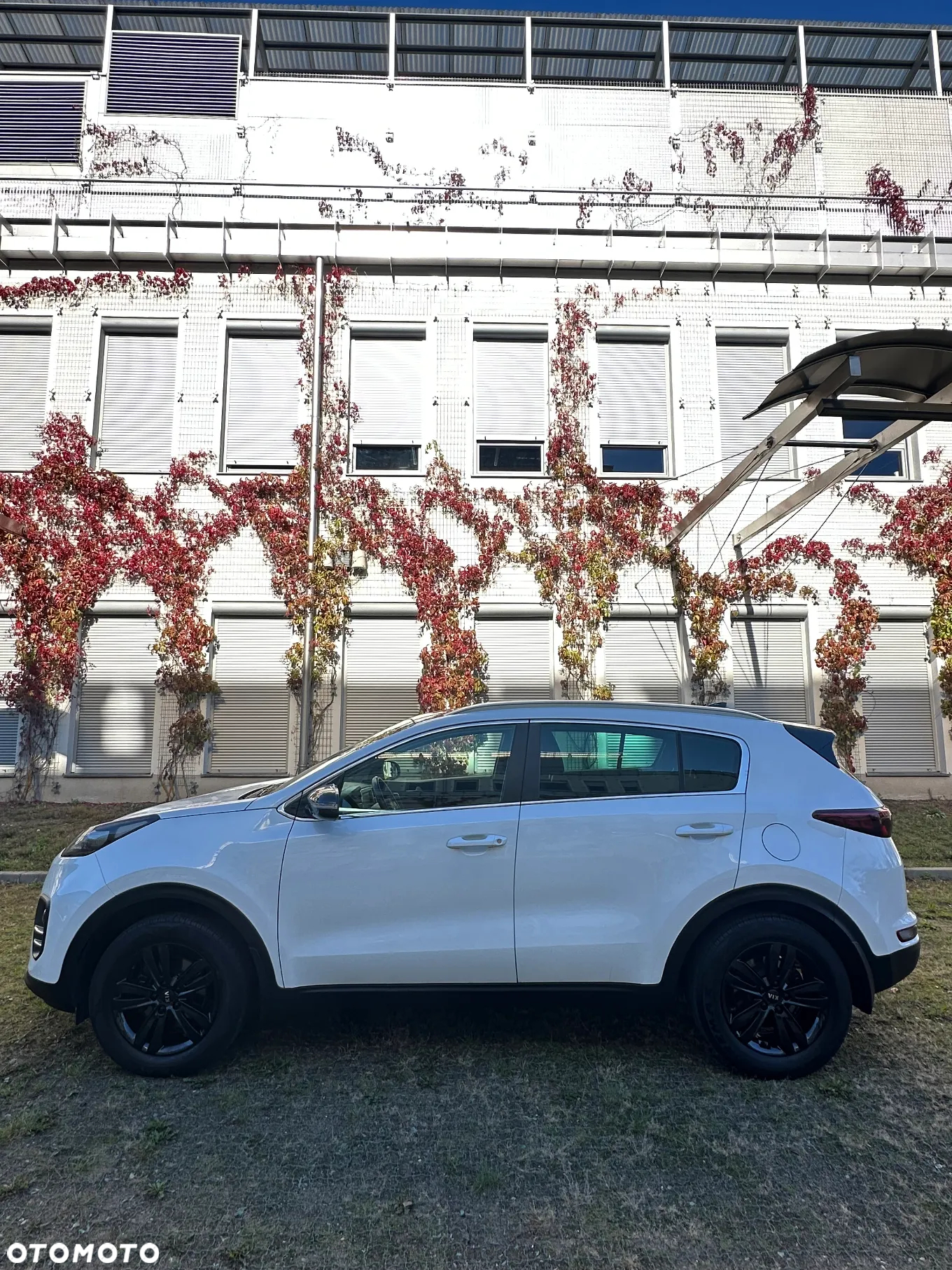 Kia Sportage 1.6 GDI Business Line 2WD - 7