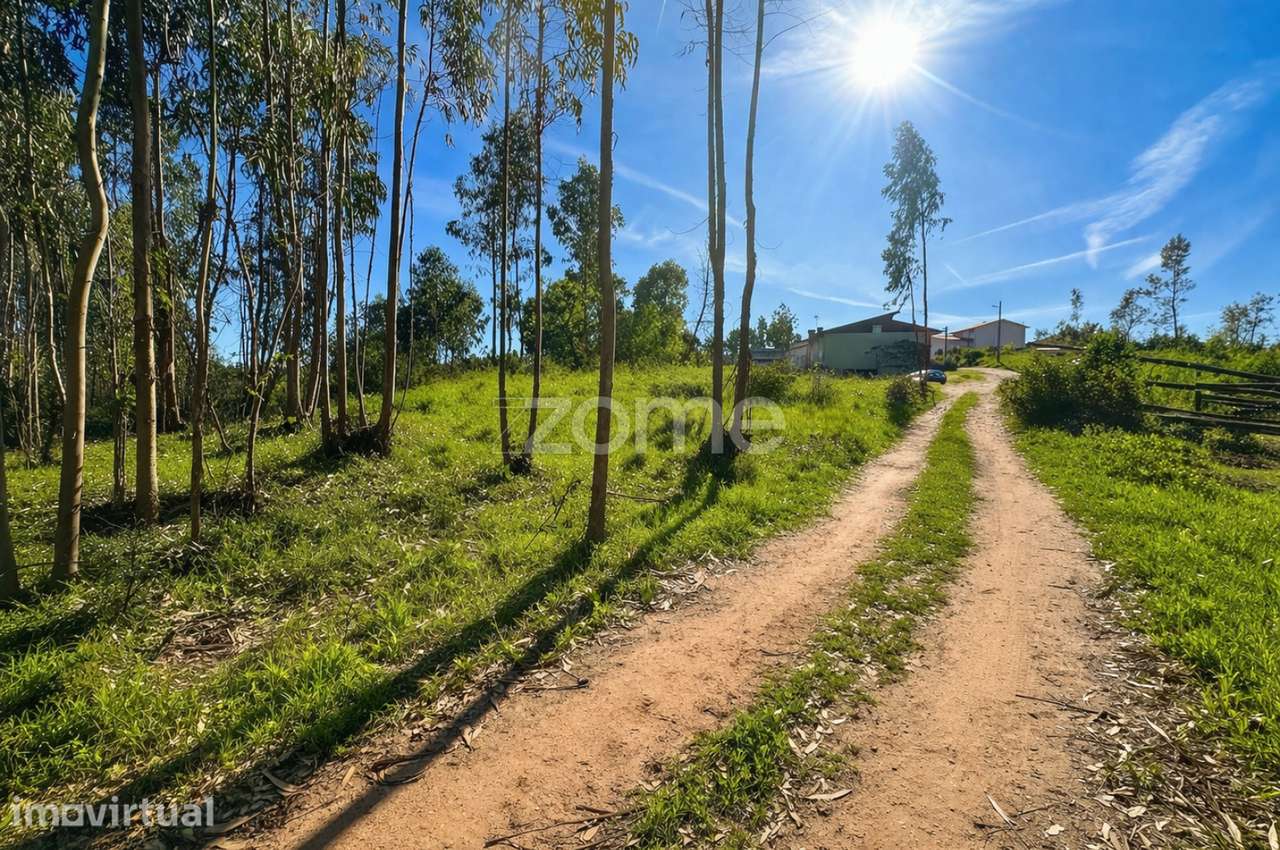 Terreno Urbanizável com 8200 m2 - Grande imagem: 2/15