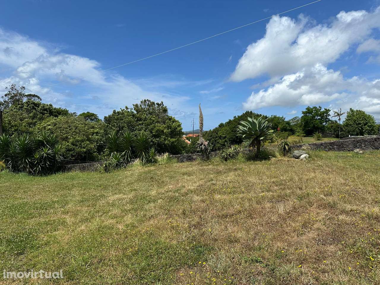 Terreno Rústico Urbanizável em Rosto de Cão, Livramento - Grande imagem: 3/14