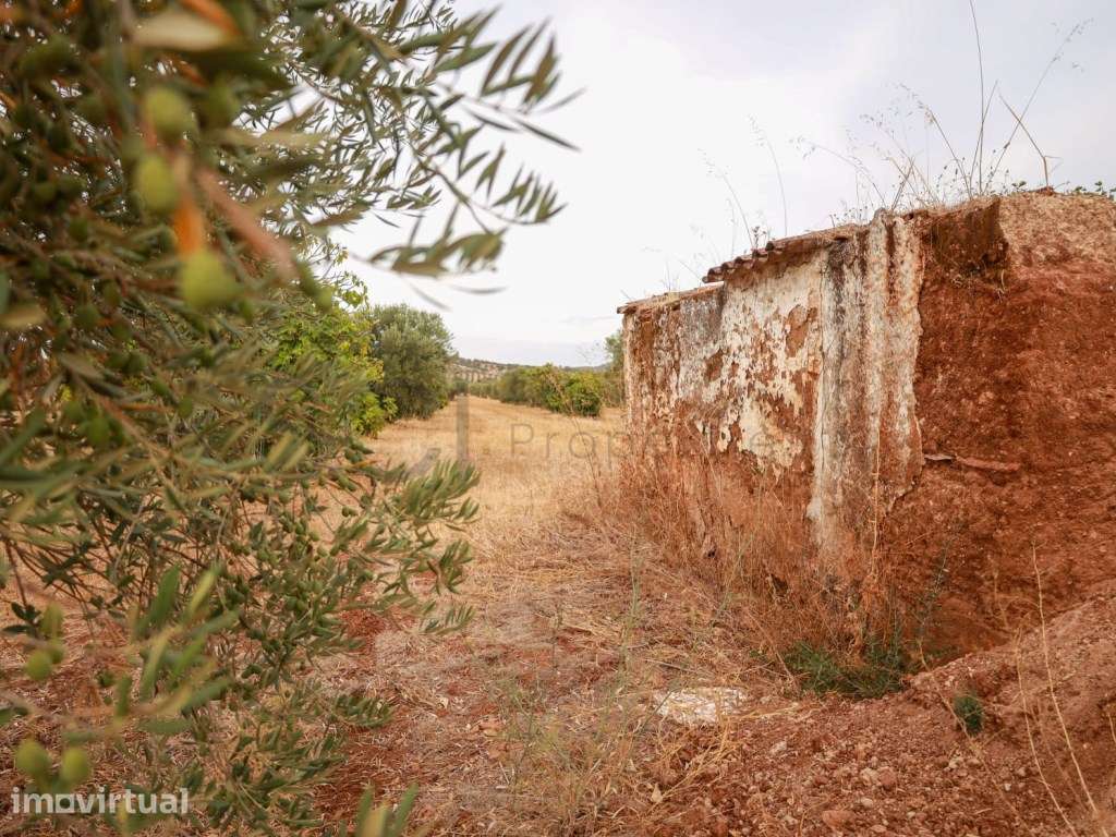 Quinta com cerca de 2 hectares - Grande imagem: 4/27