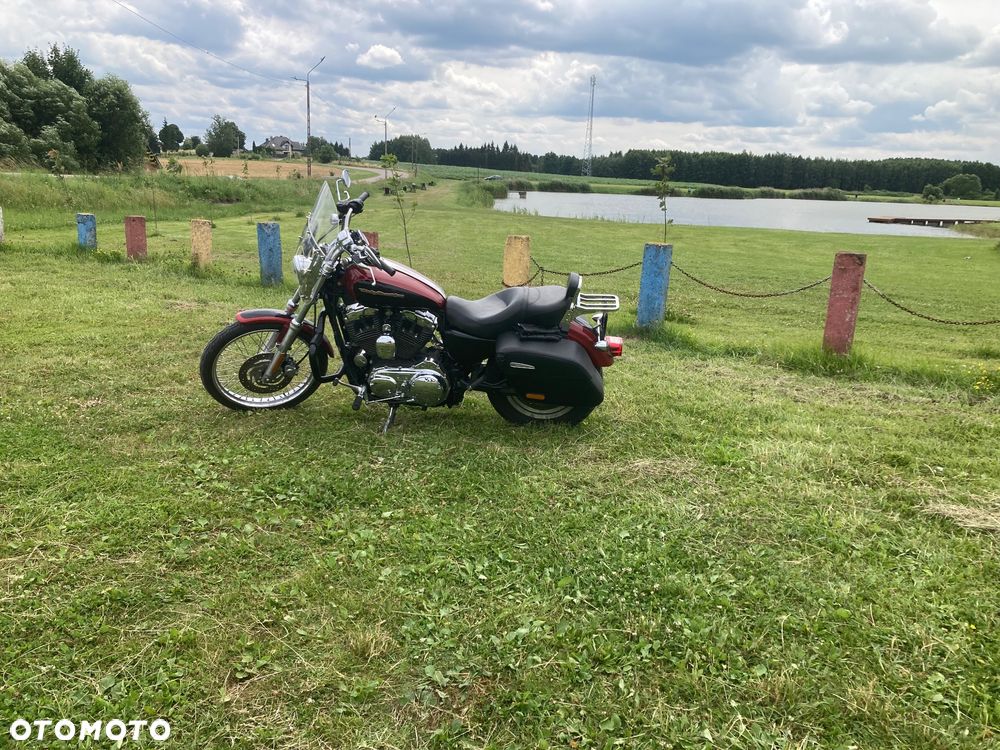 Harley-Davidson Sportster Custom 1200C - 7