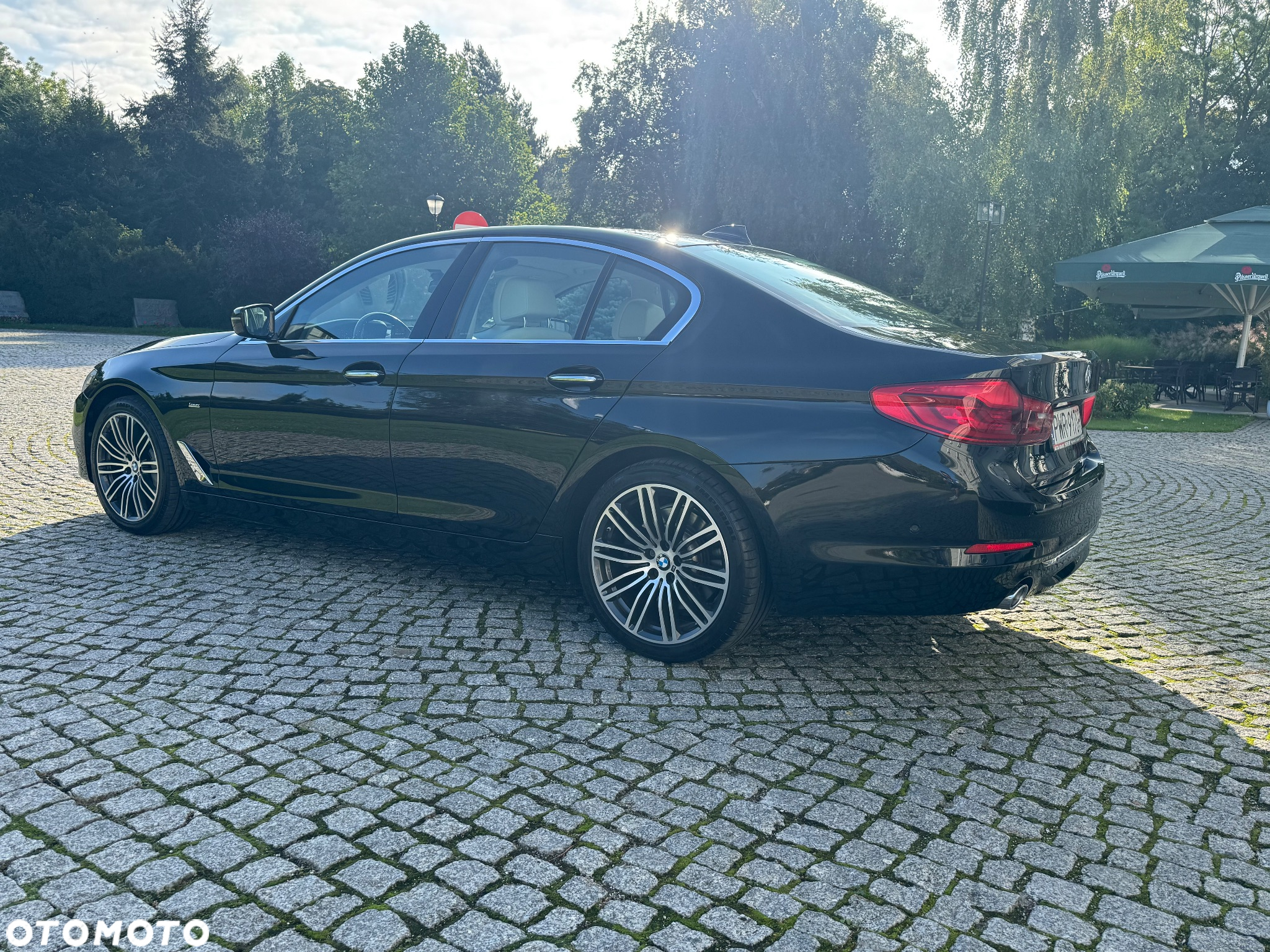 BMW Seria 5 530d Luxury Line sport - 6