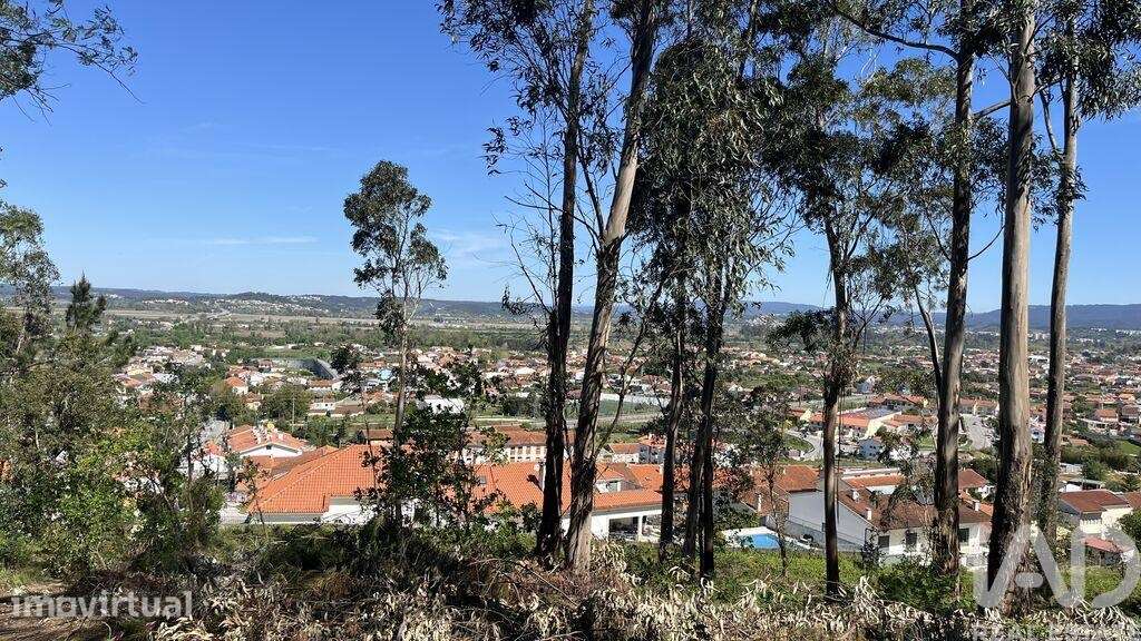 Terreno Agrícola em São Martinho do Bispo e Ribeira de Frades - Grande imagem: 2/8