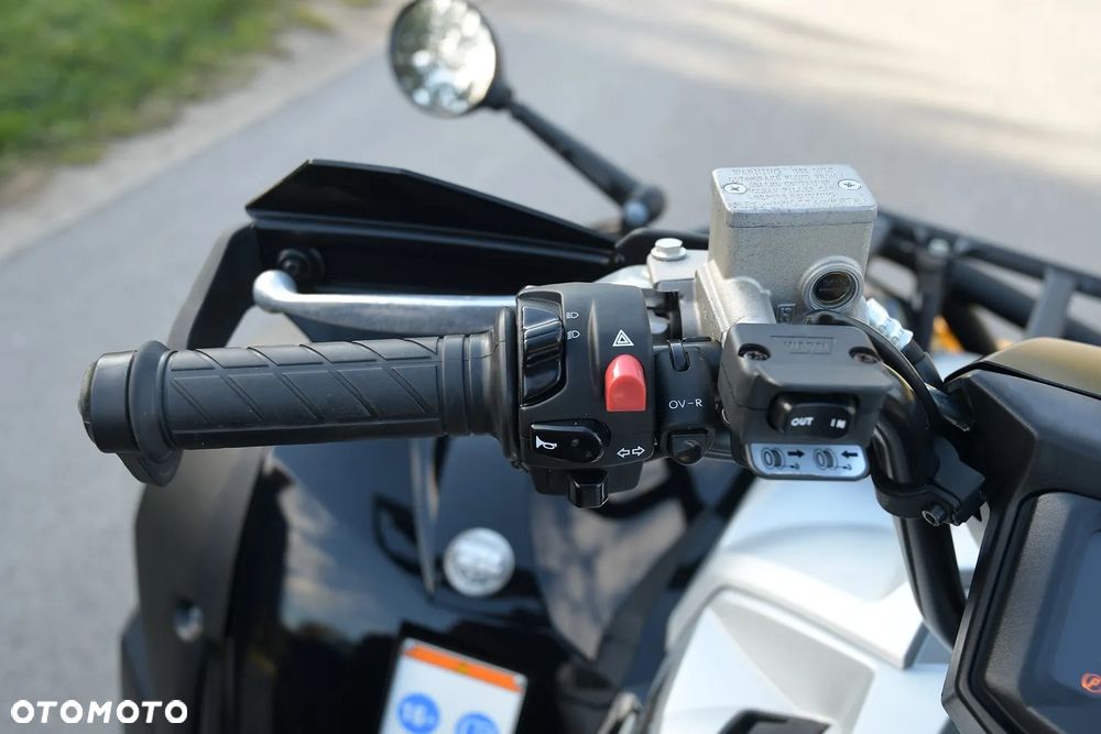 Yamaha Grizzly - 31