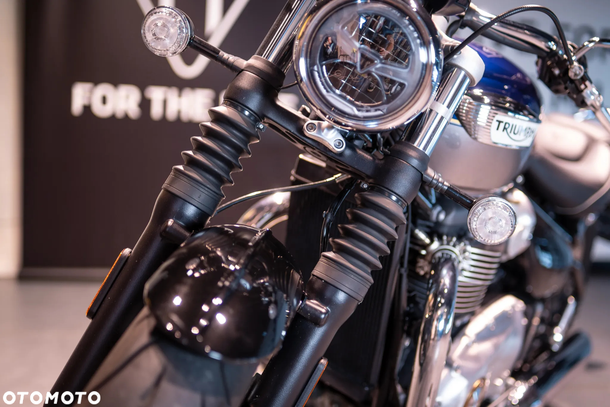 Triumph Speedmaster - 26