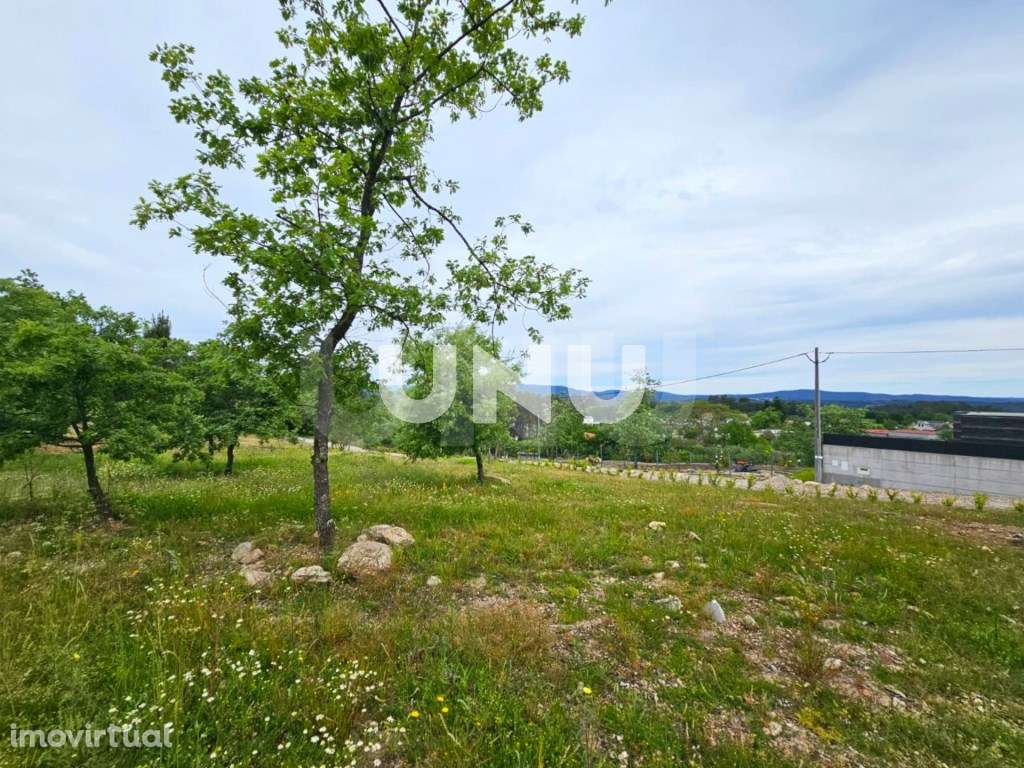 Terreno Rústico - Possibilidade de Construção - Grande imagem: 3/11