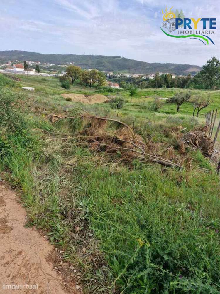 Terreno Para Construção situado na Vila da Sertã - Grande imagem: 3/11