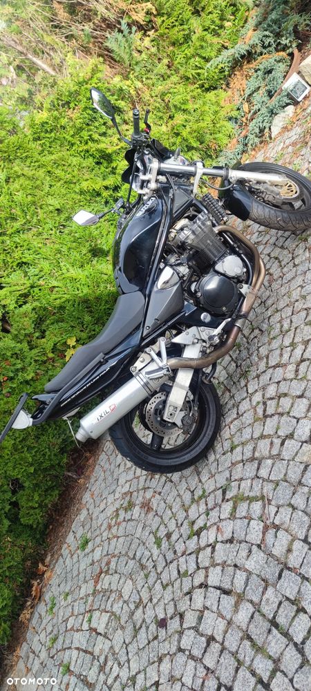 Suzuki Bandit - 13