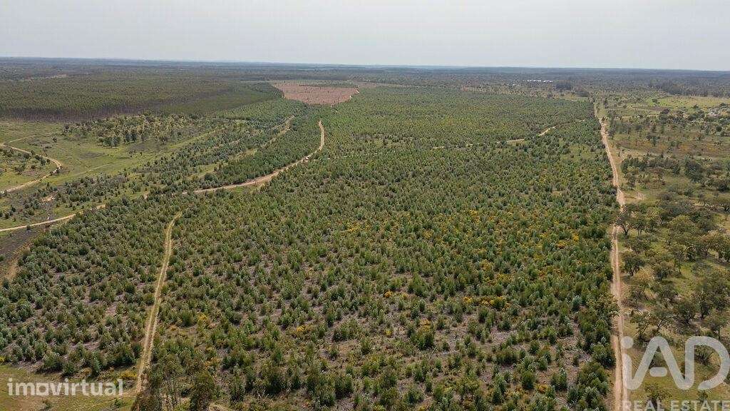 Terreno Agrícola em Bemposta - Grande imagem: 3/31