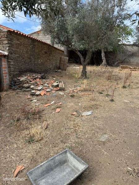 Terreno em maxiais - Grande imagem: 2/5