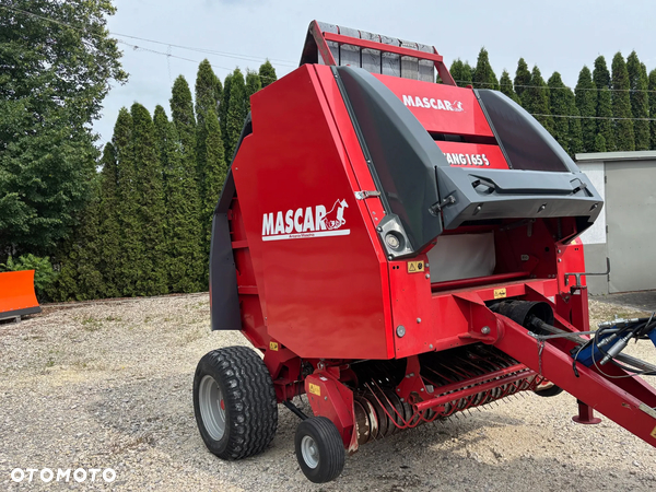 Mascar Mustang 165