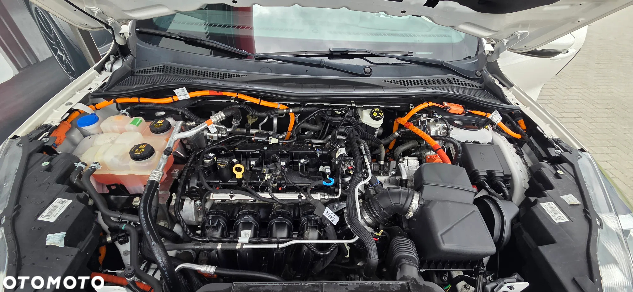 Ford Kuga 2.5P PHEV FWD ST-Line X - 40