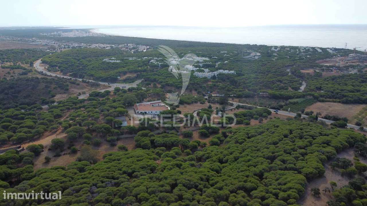 Terreno misto, Altura, 17ha, 8100m2 construção, PIP aprovado - Grande imagem: 5/22