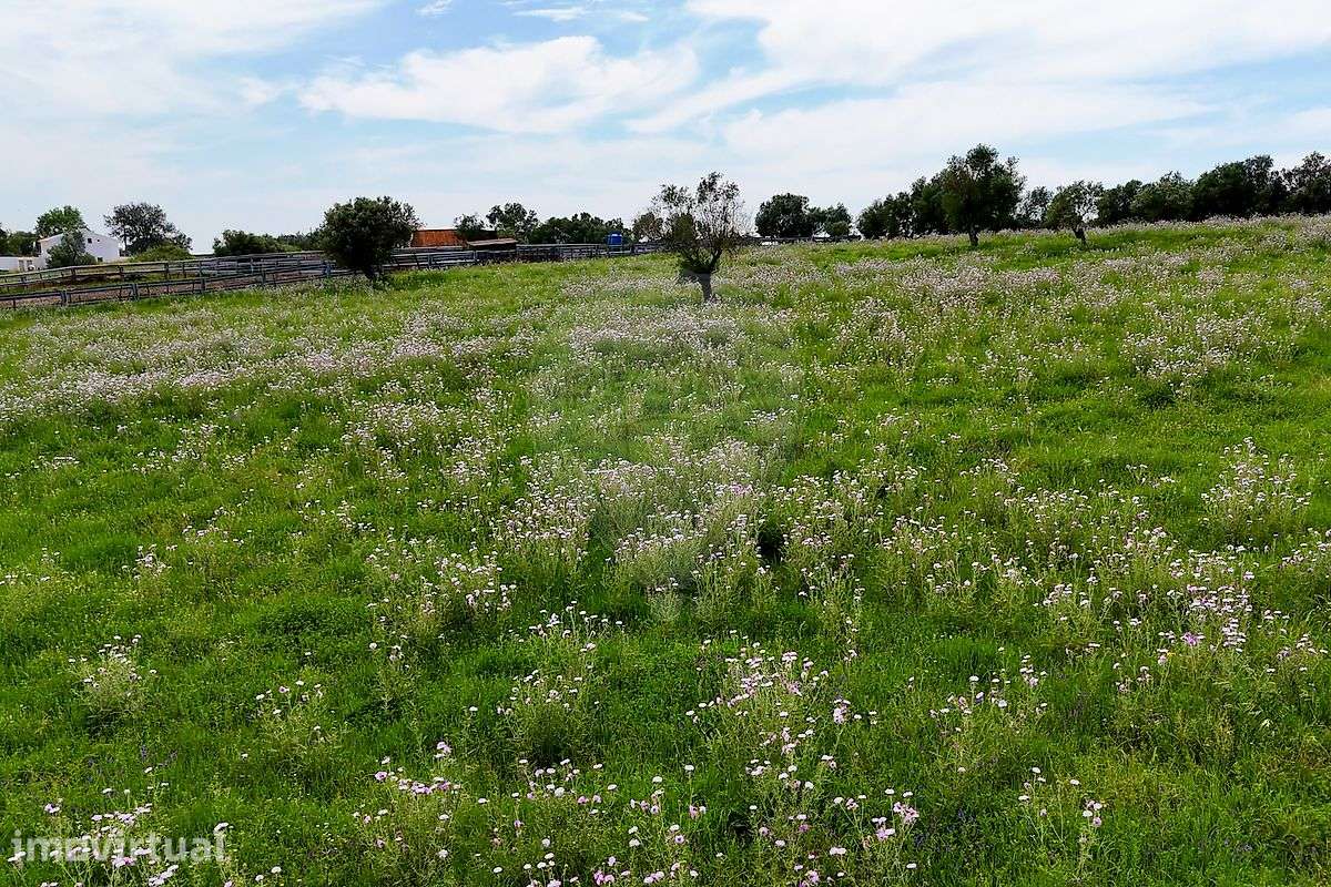 Terreno  para venda - Grande imagem: 5/10