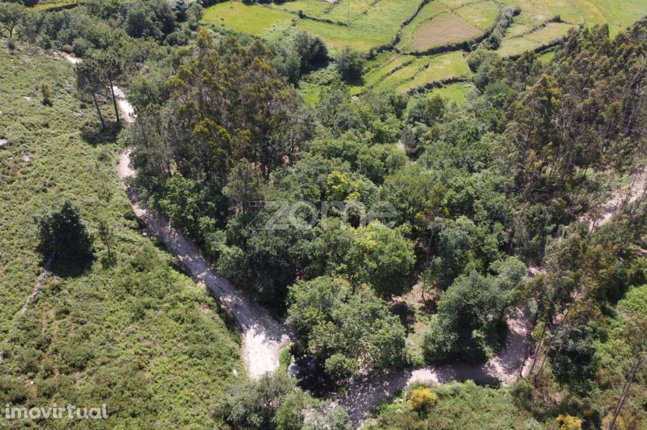 Terreno Rústico em Barbeitos (Álvora) - Grande imagem: 2/23