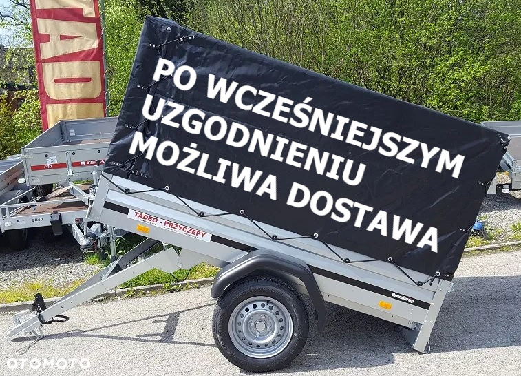 Wiola KRAKUS PLUS 252x132x38 2 osie - 19