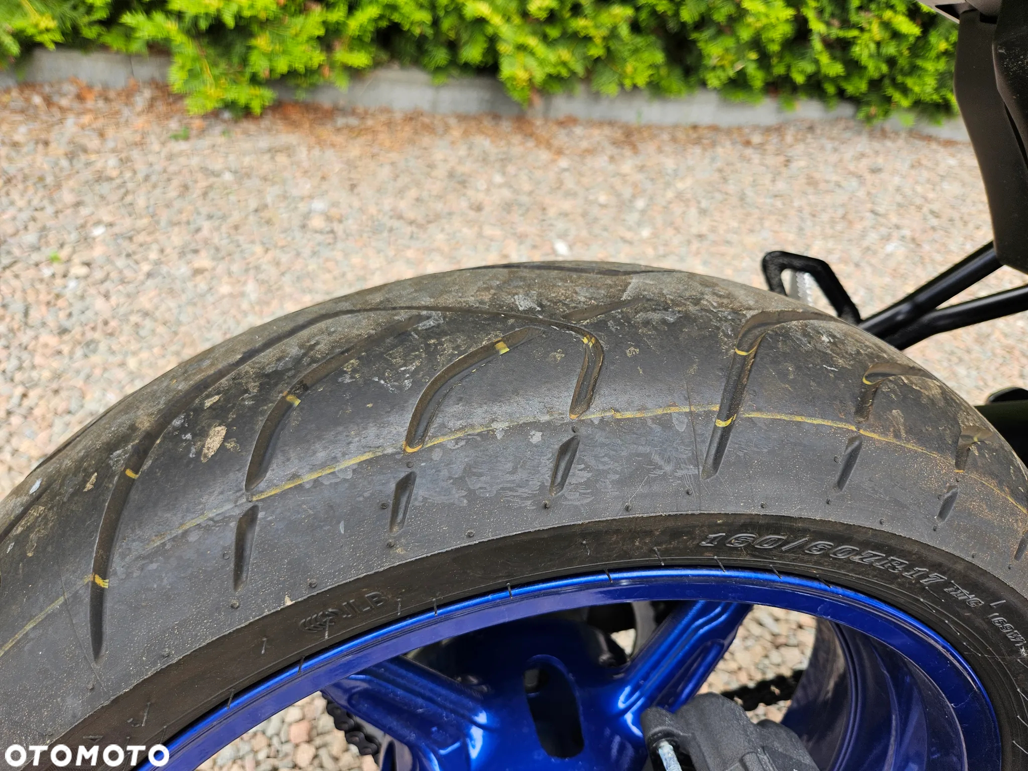 Suzuki SV - 10