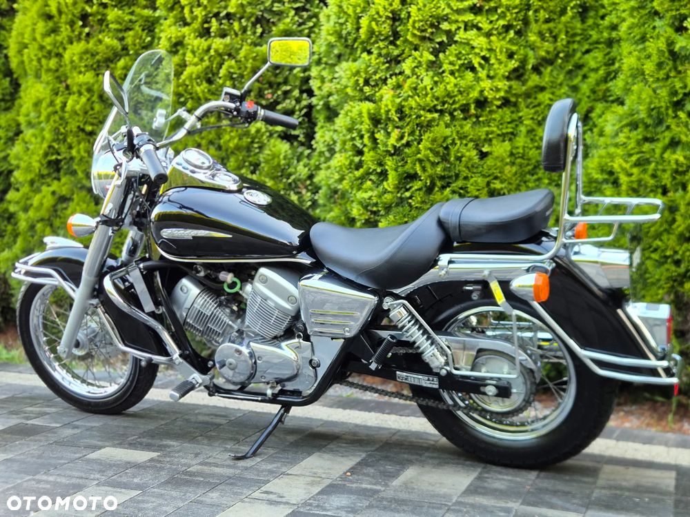 Honda Shadow - 5