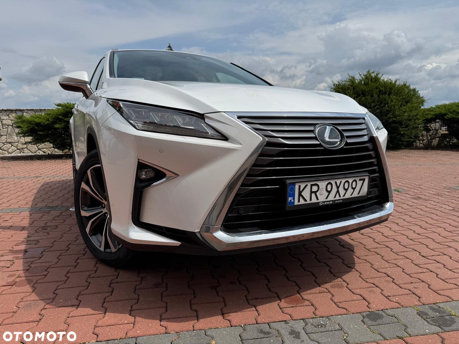 Lexus RX 200t / 300 Elegance - 9