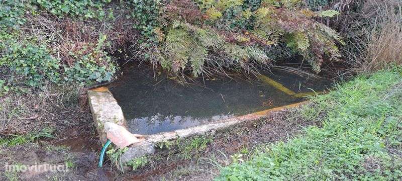 espectacular LOUSA LOURES 1.6 hectares a 15 min da capital Lisboa - Grande imagem: 5/6