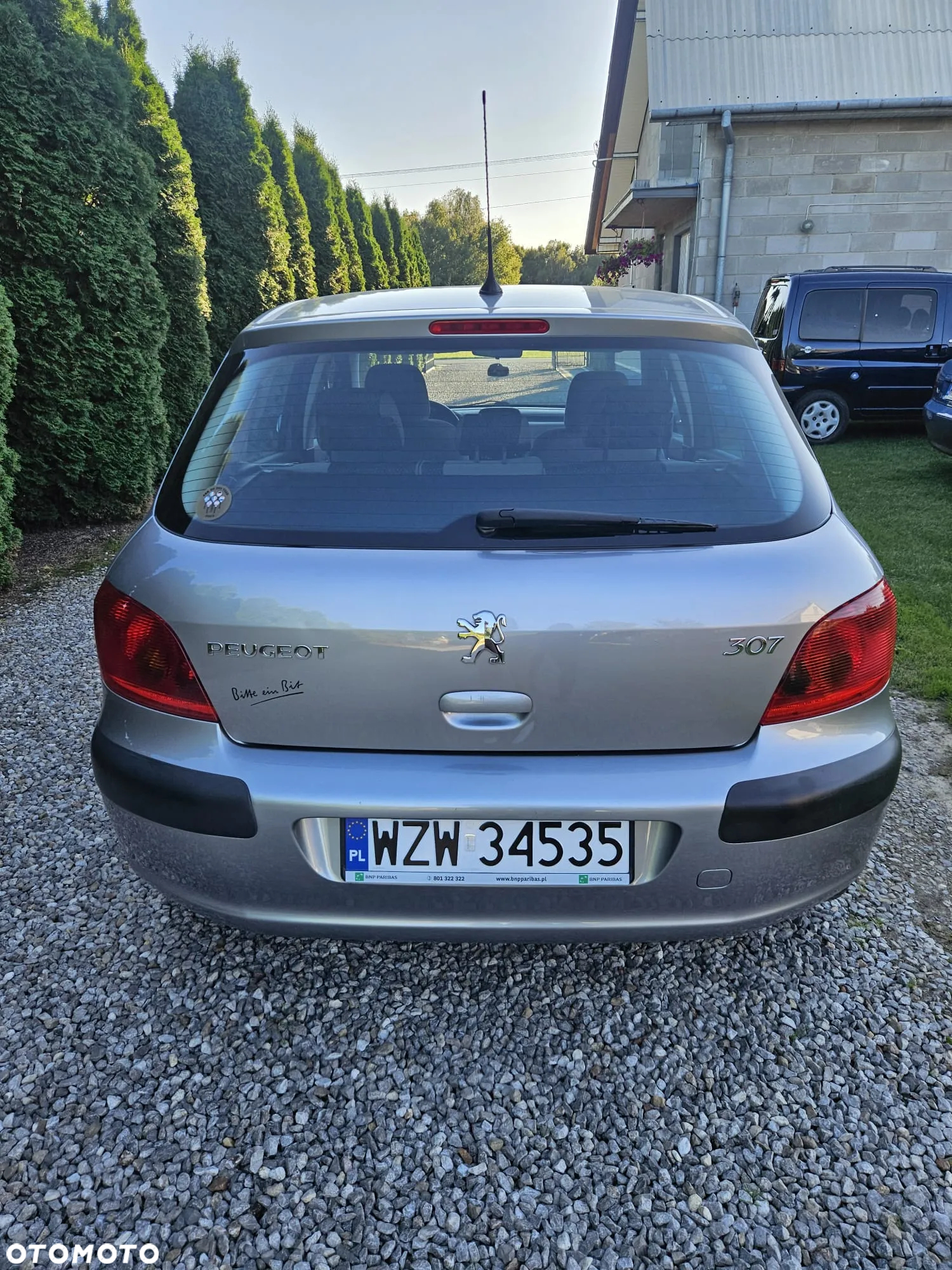 Peugeot 307 2.0 - 7