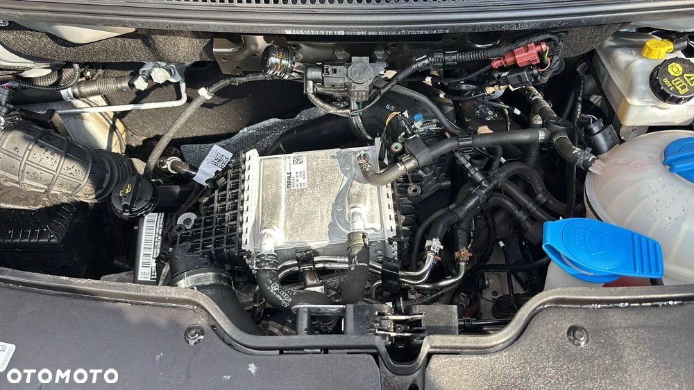 Volkswagen Transporter T6,1 - 29