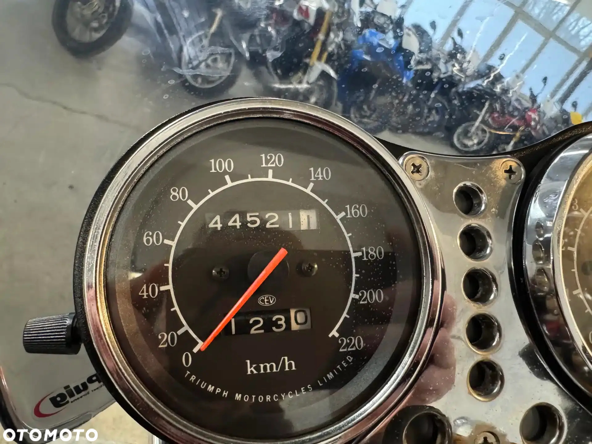 Triumph Thunderbird - 33