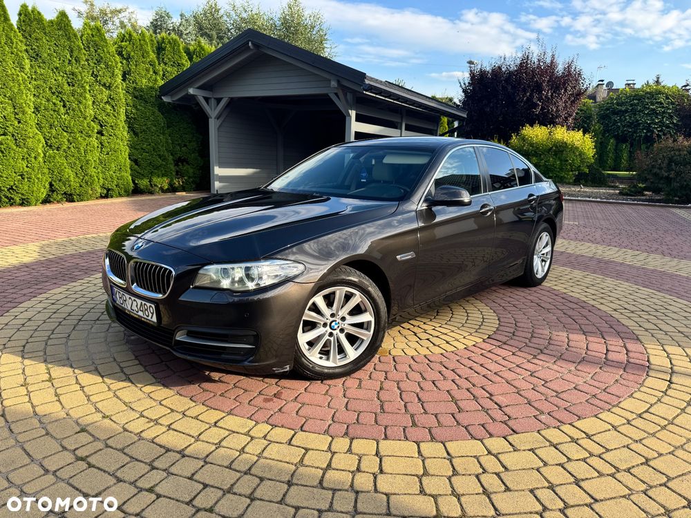 BMW Seria 5 520d Luxury Line - 2