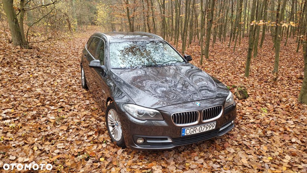 BMW Seria 5 520d - 14
