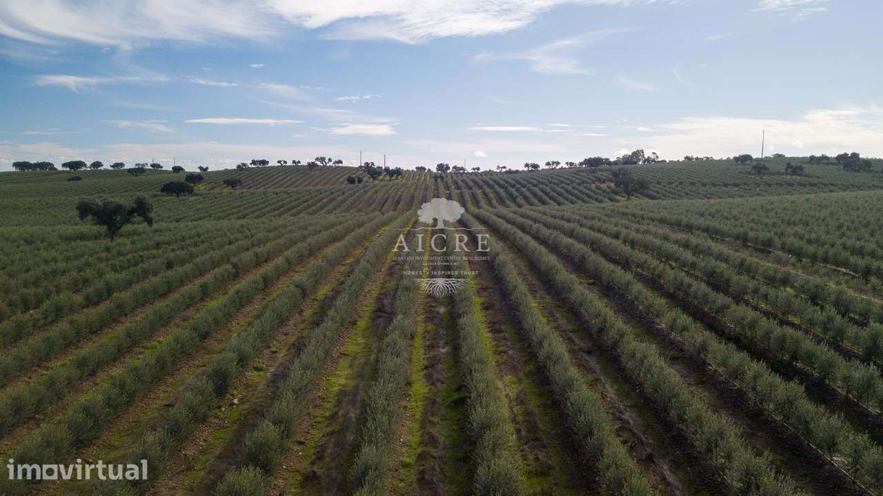 Herdade Alentejo - Grande imagem: 2/60