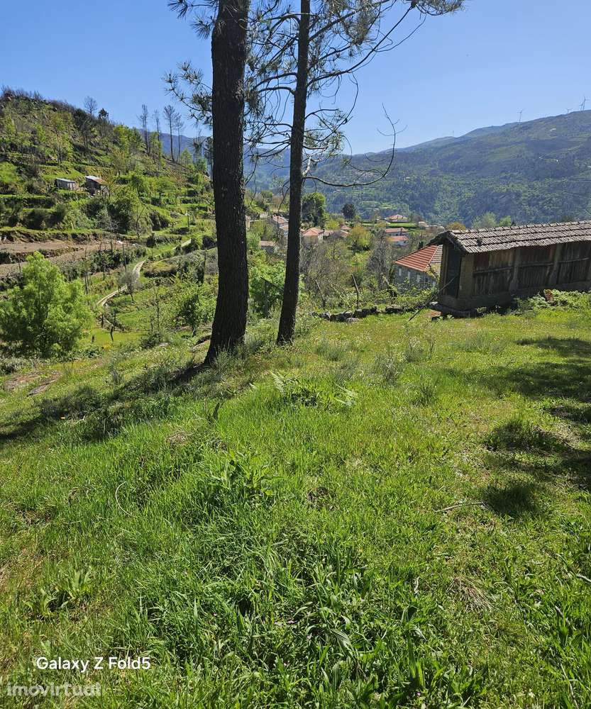 FABULOSO TERRENO COM 2000 M2 EM CINFÃES - Grande imagem: 5/37