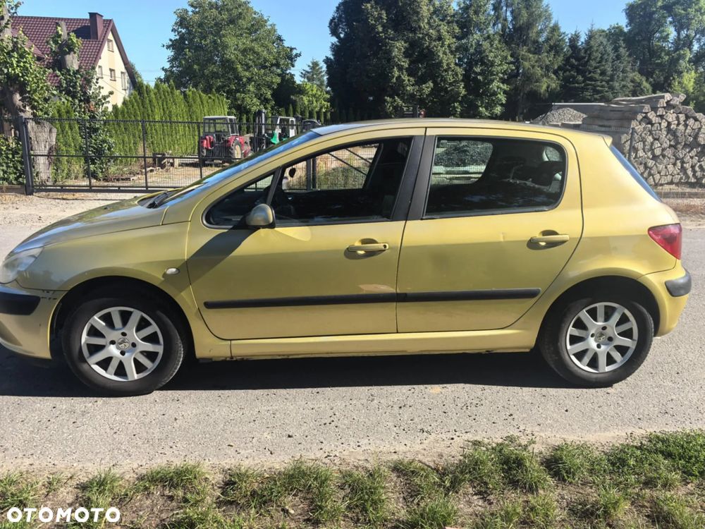 Peugeot 307 - 4