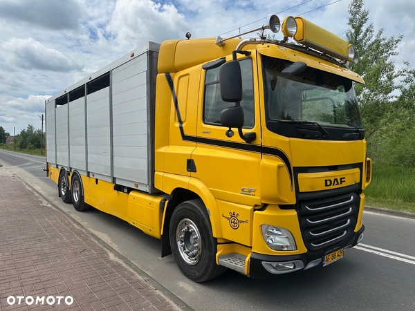 DAF CF 440  DO BYDLA -ZWIERZAT -ZYWCA