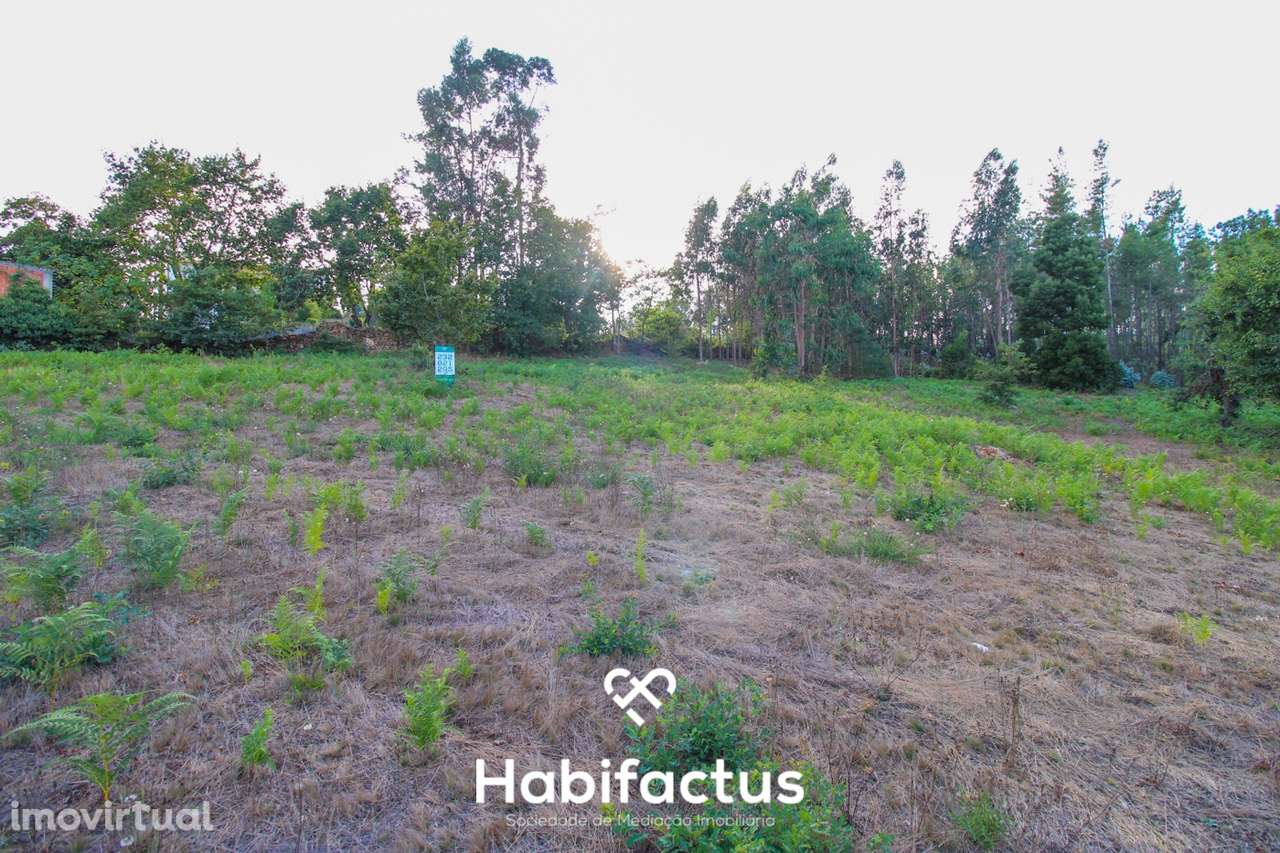 Terreno para Construção com 4720m² em Sabugosa – Ideal para Moradia Is - Grande imagem: 2/9