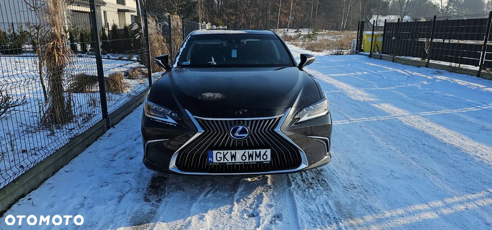 Lexus ES 300h Omotenashi - 2