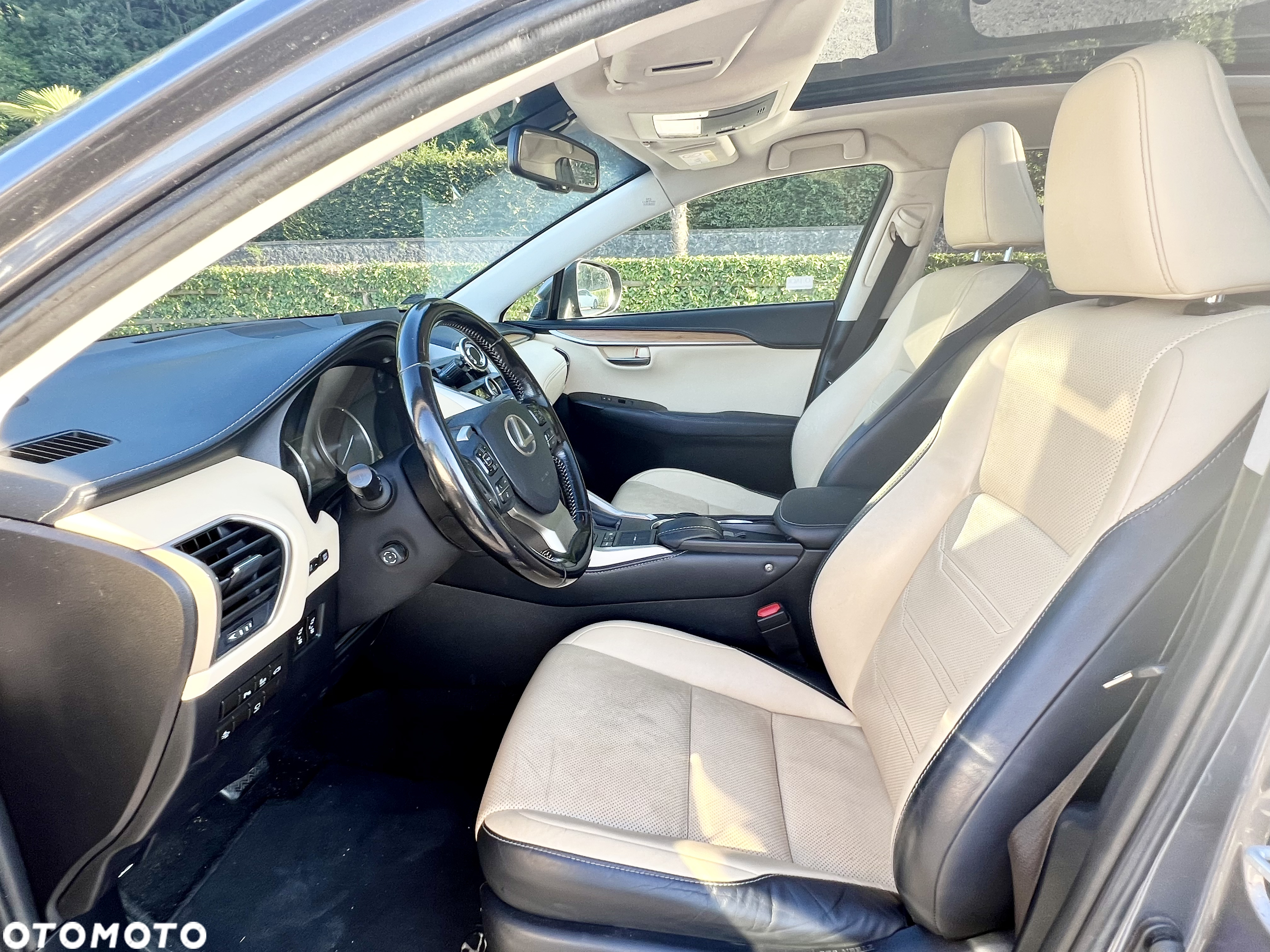 Lexus NX 300h Prestige AWD - 25