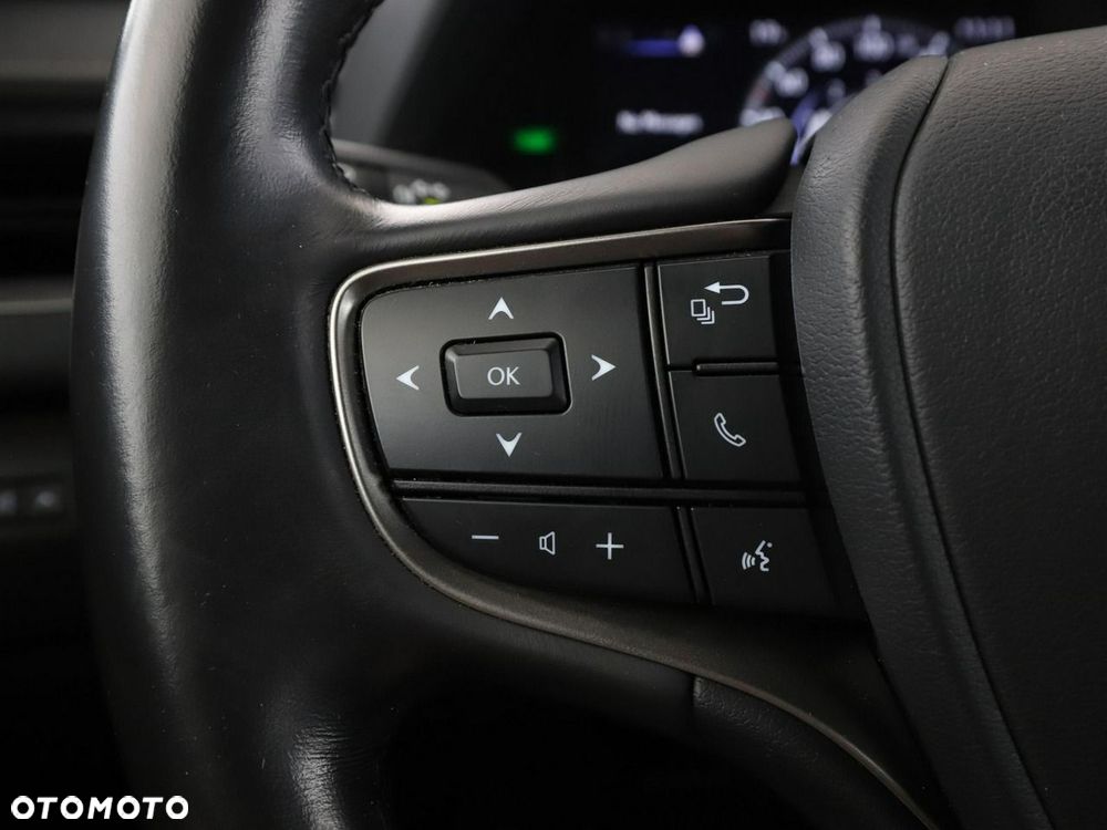Lexus UX 250h - 30