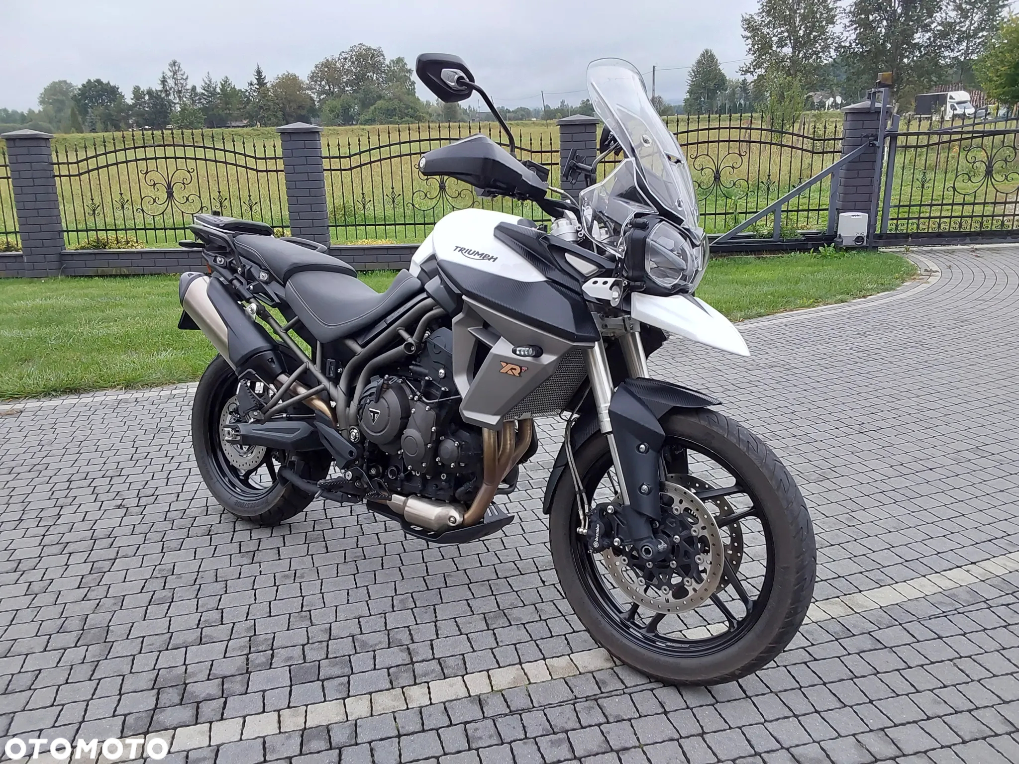 Triumph Tiger - 2