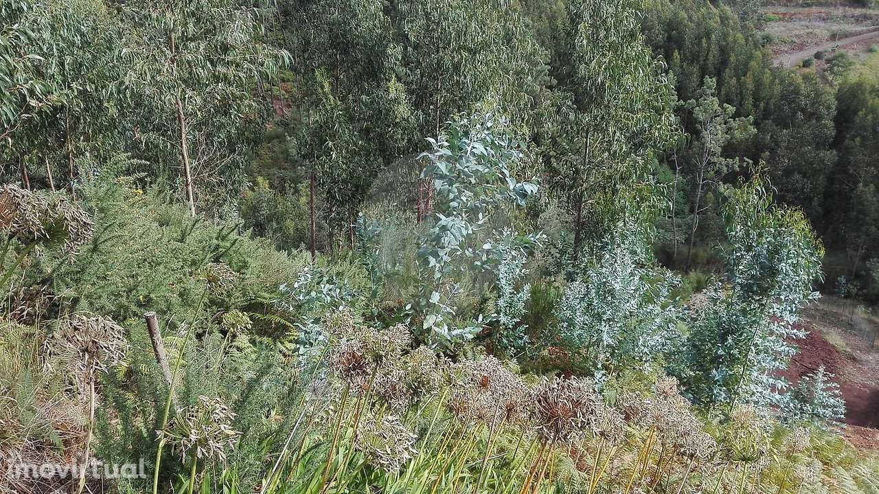 Terreno  para venda - Grande imagem: 3/16