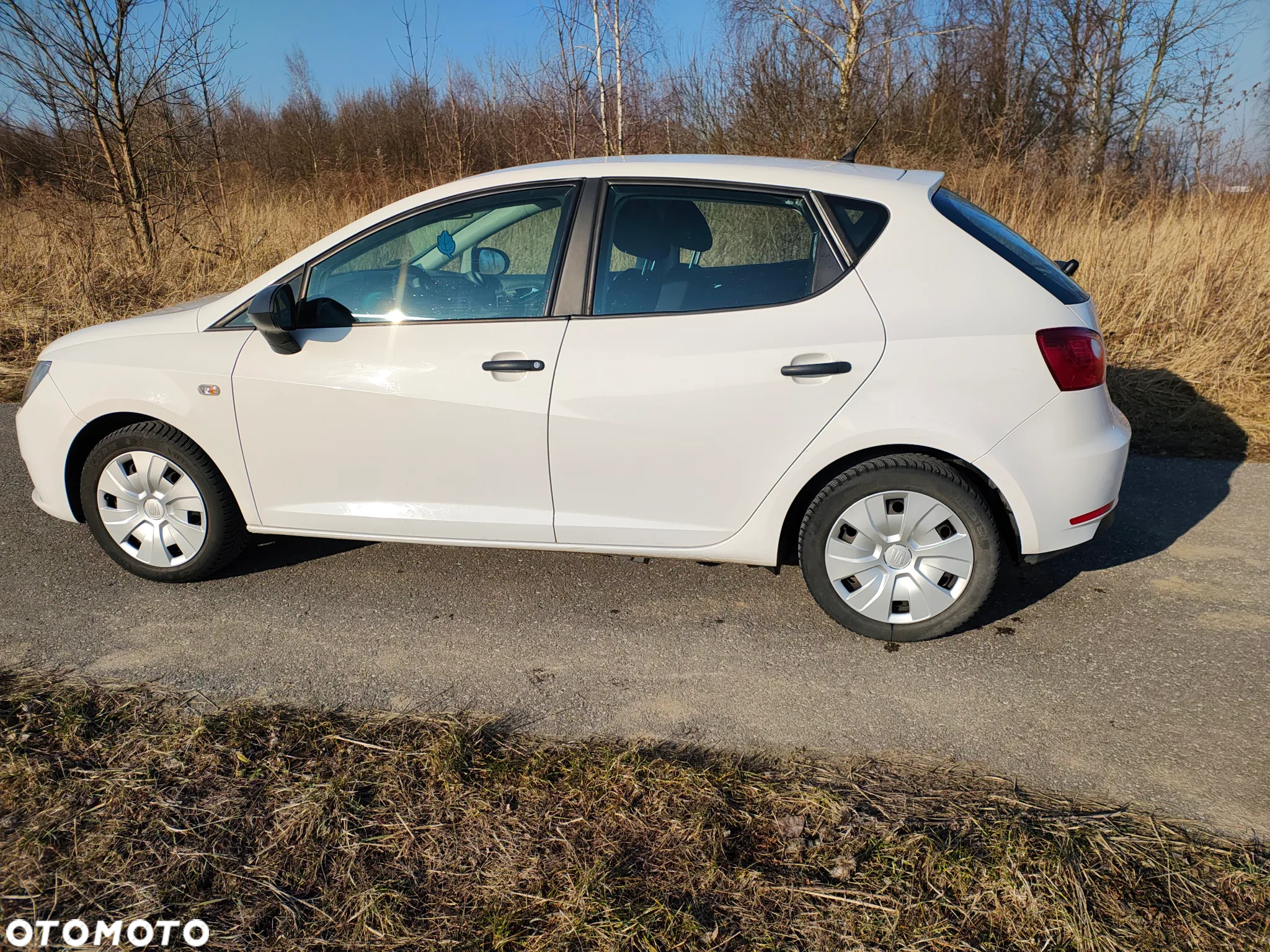 Seat Ibiza - 6
