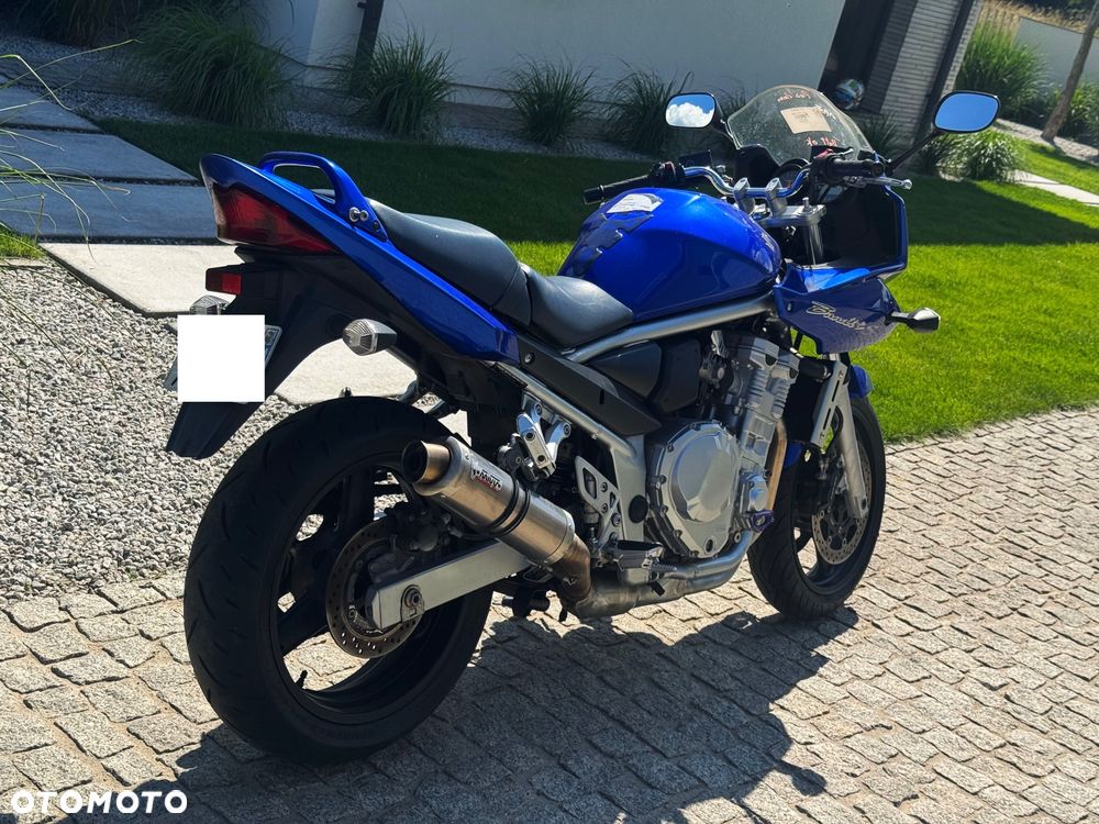Suzuki Bandit - 10