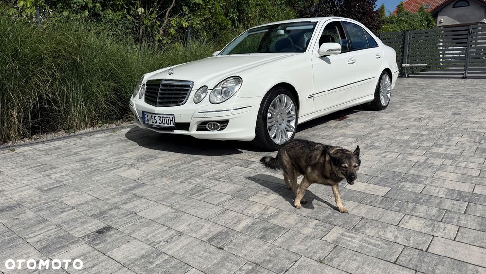 Mercedes-Benz Klasa E - 27