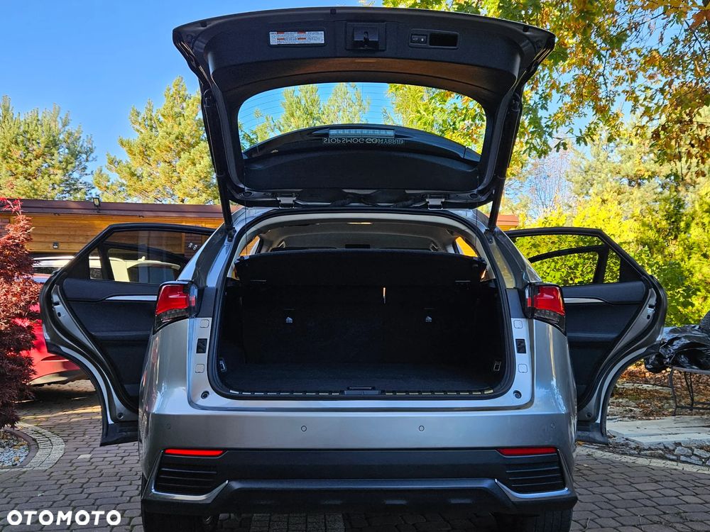 Lexus NX 300h Prestige AWD - 18