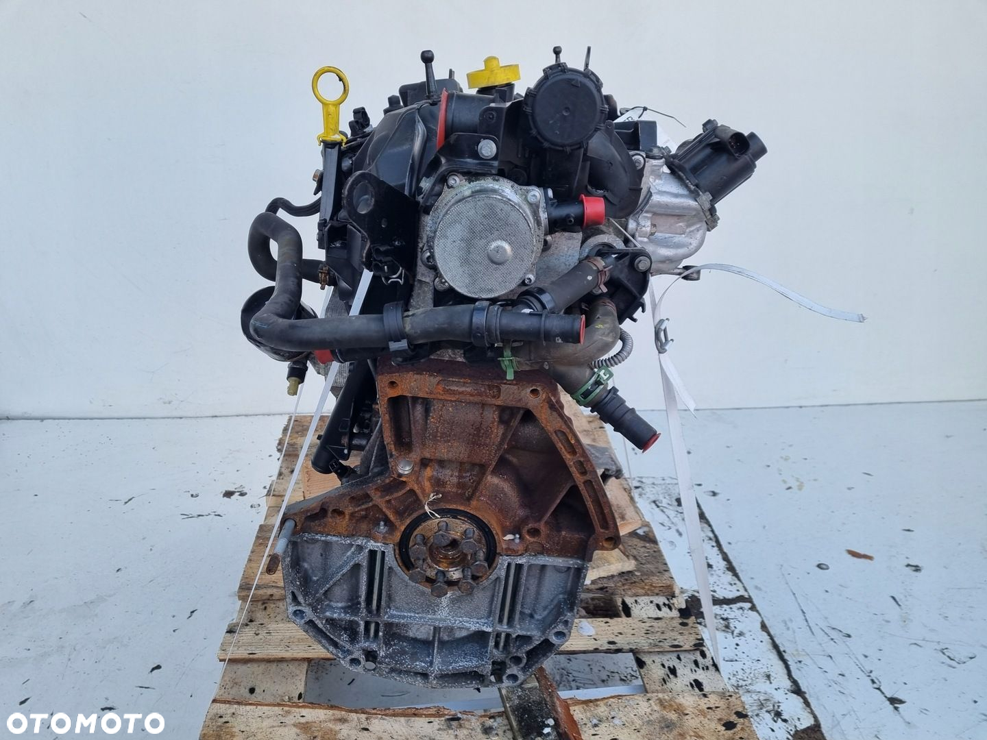 SILNIK KOMPLET Renault Clio III 1.5 DCI 86KM udokumentowane 141tyś K9K766 - 8