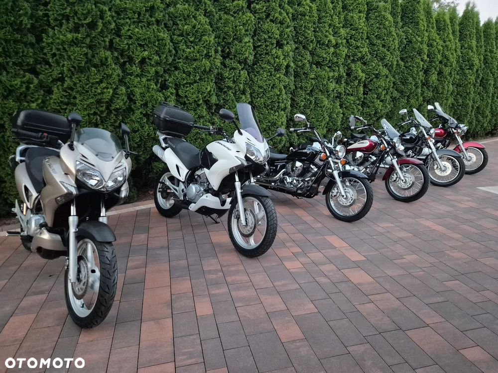 Honda Shadow - 16
