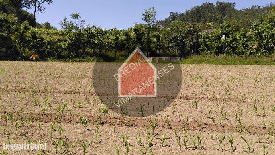 Quinta - Gominhães - 290.000€ - Grande imagem: 3/29