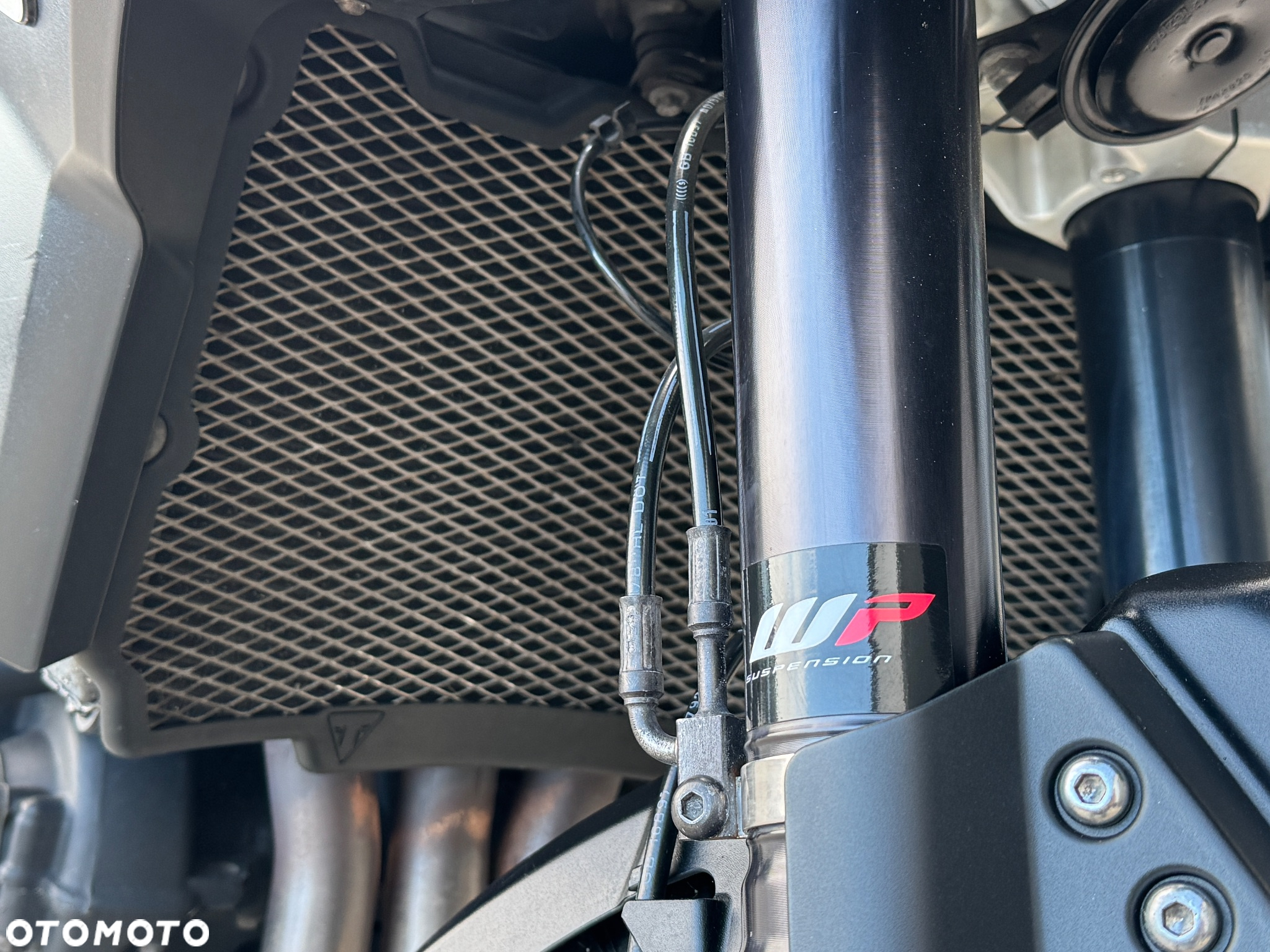 Triumph Tiger - 16