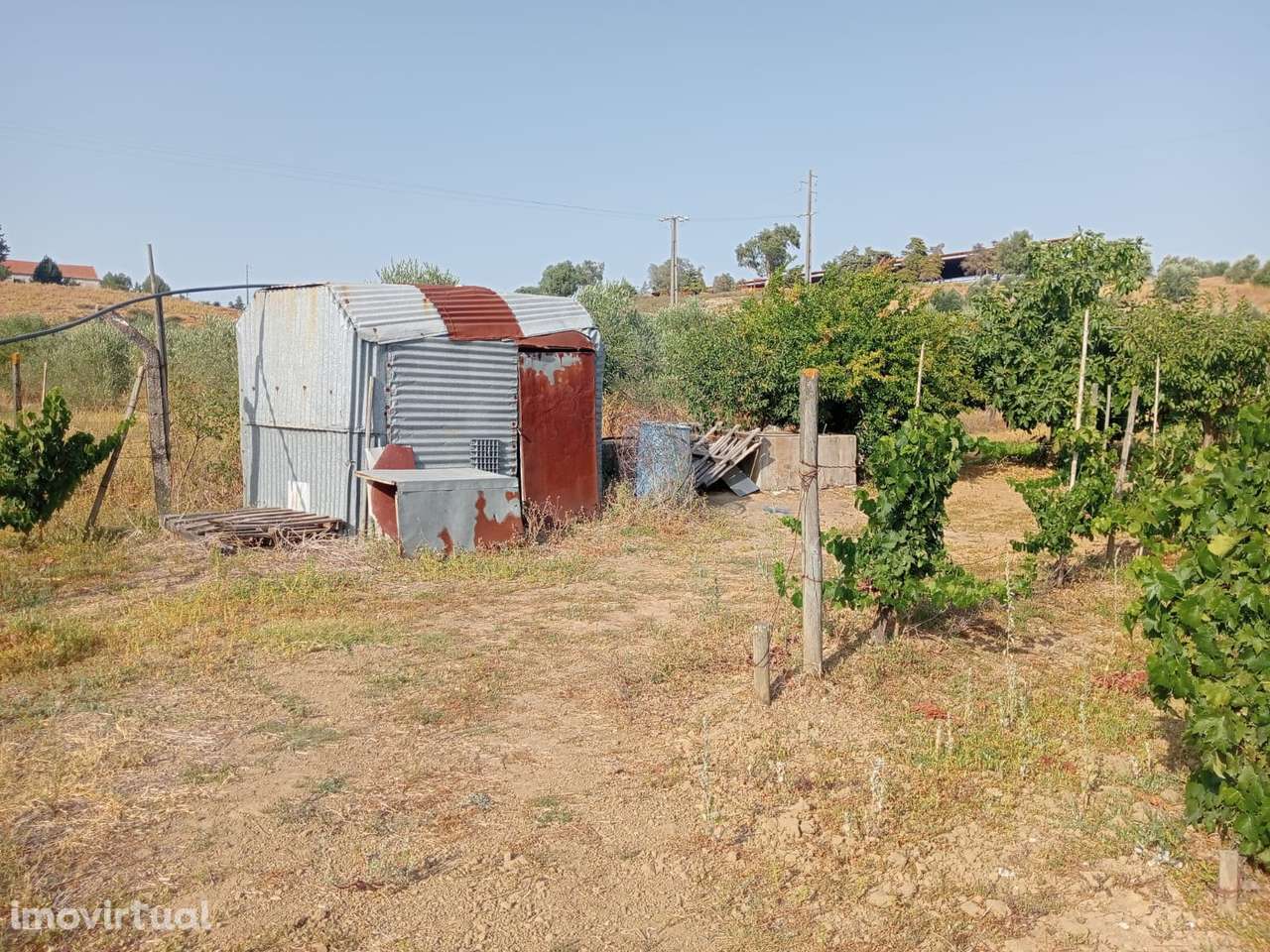 Terreno Rústico com 6.240 m² - Grande imagem: 5/13